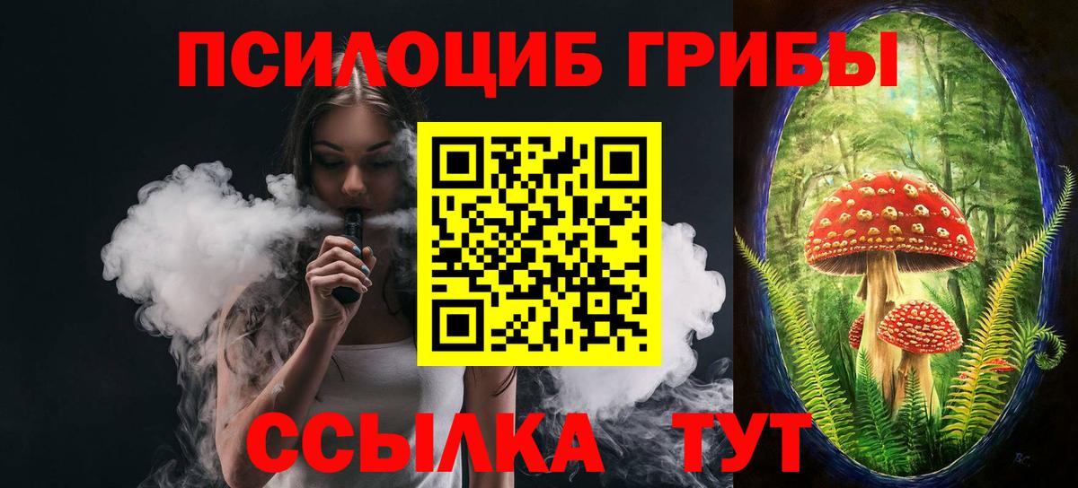 Сегежа  Галлюциногенные грибы прущие грибы  Вход с VPN 