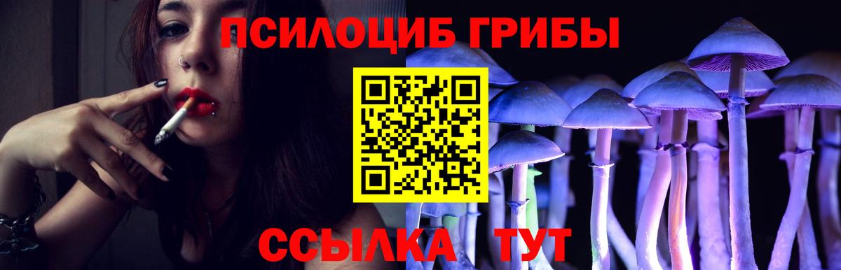 Галлюциногенные грибы MAGIC MUSHROOMS Сегежа